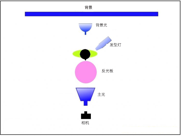 蝴蝶肖像.jpg