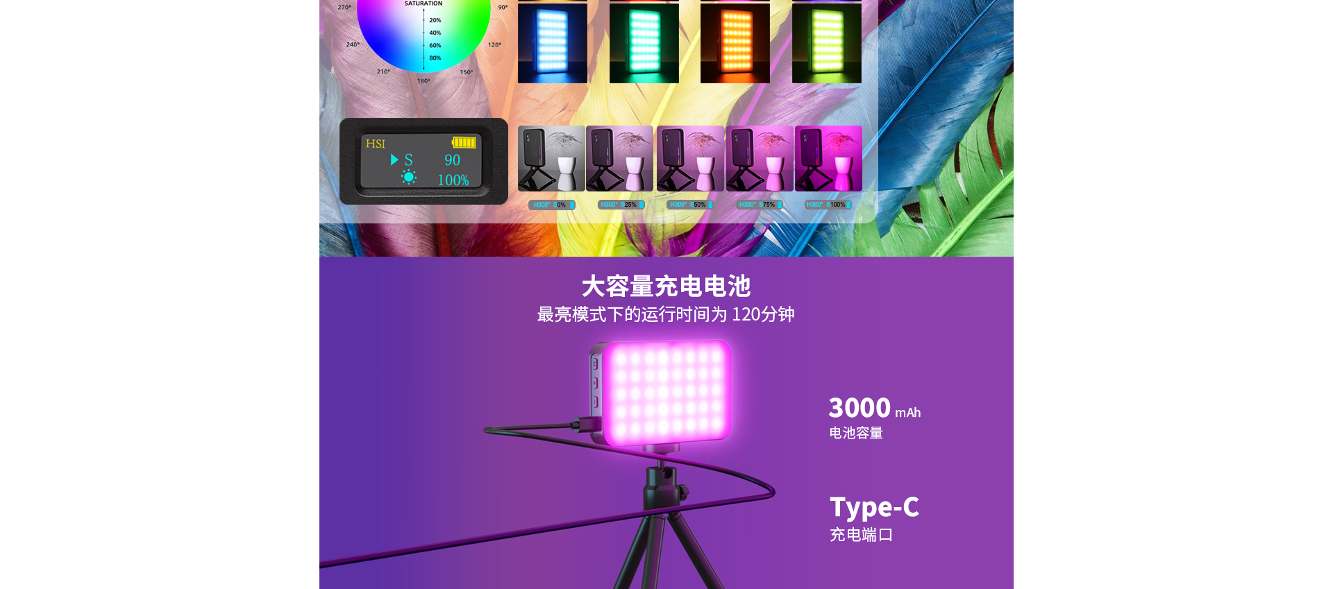 V10Pro_02.jpg